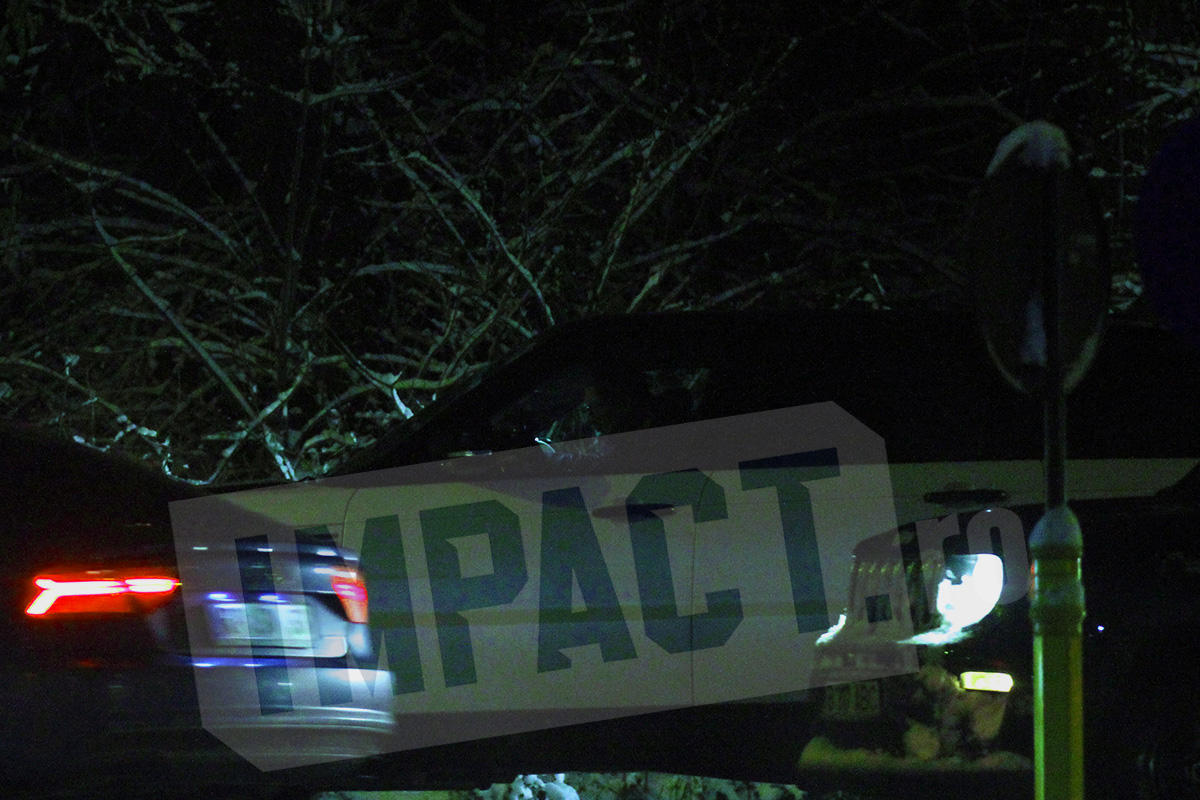 Galerie foto - Poza #2