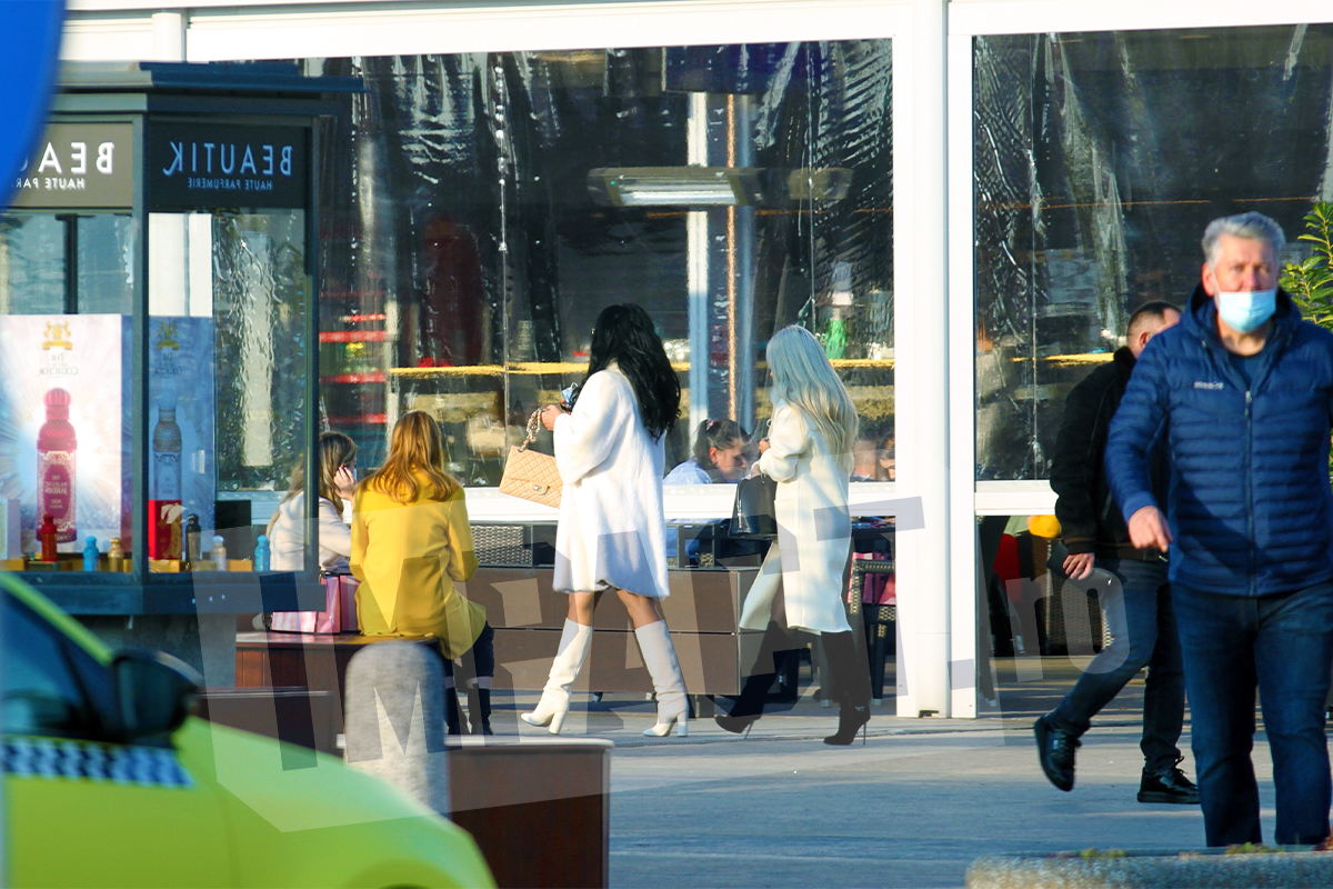 Galerie foto - Poza #1