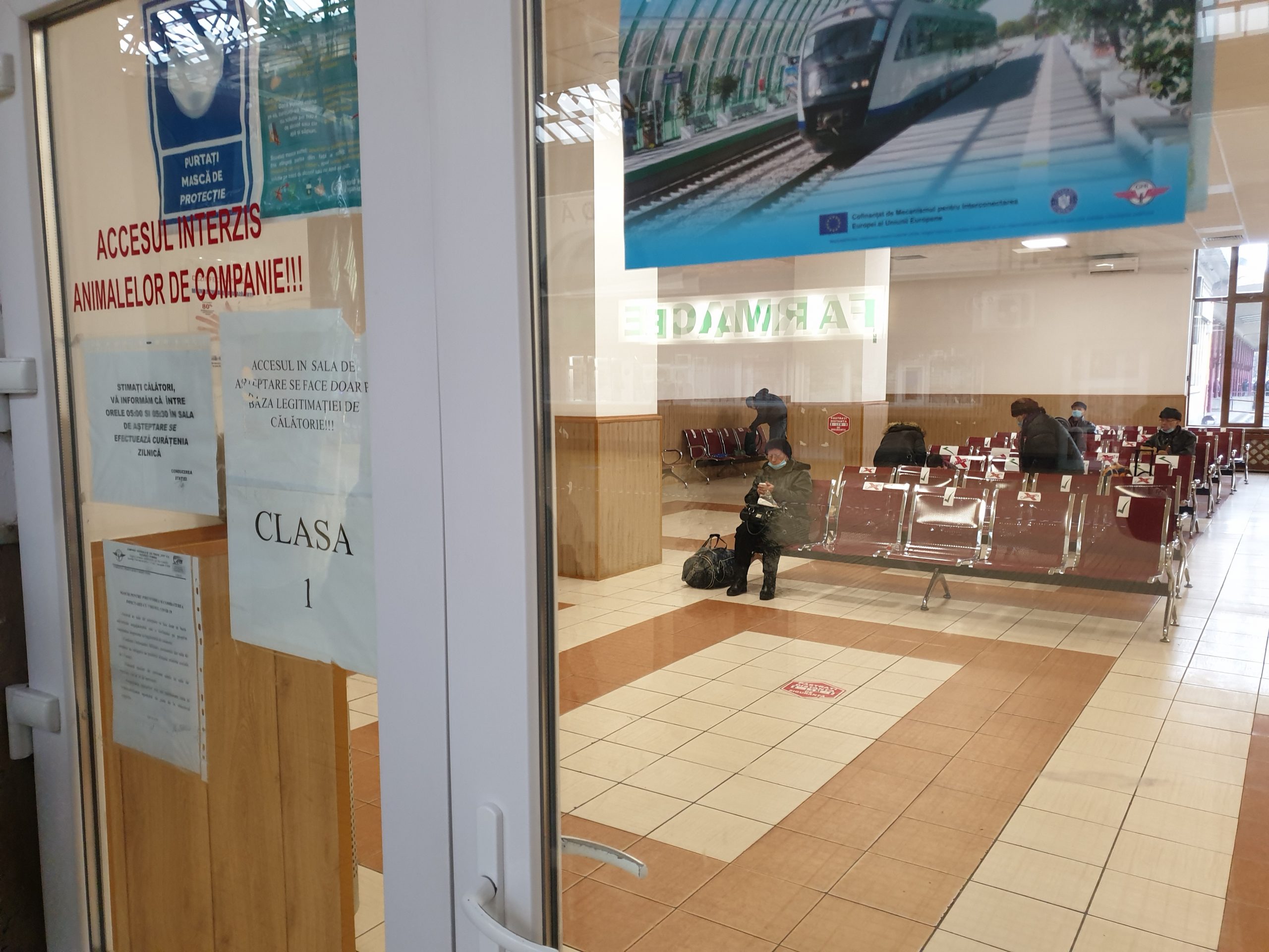 Galerie foto - Poza #2