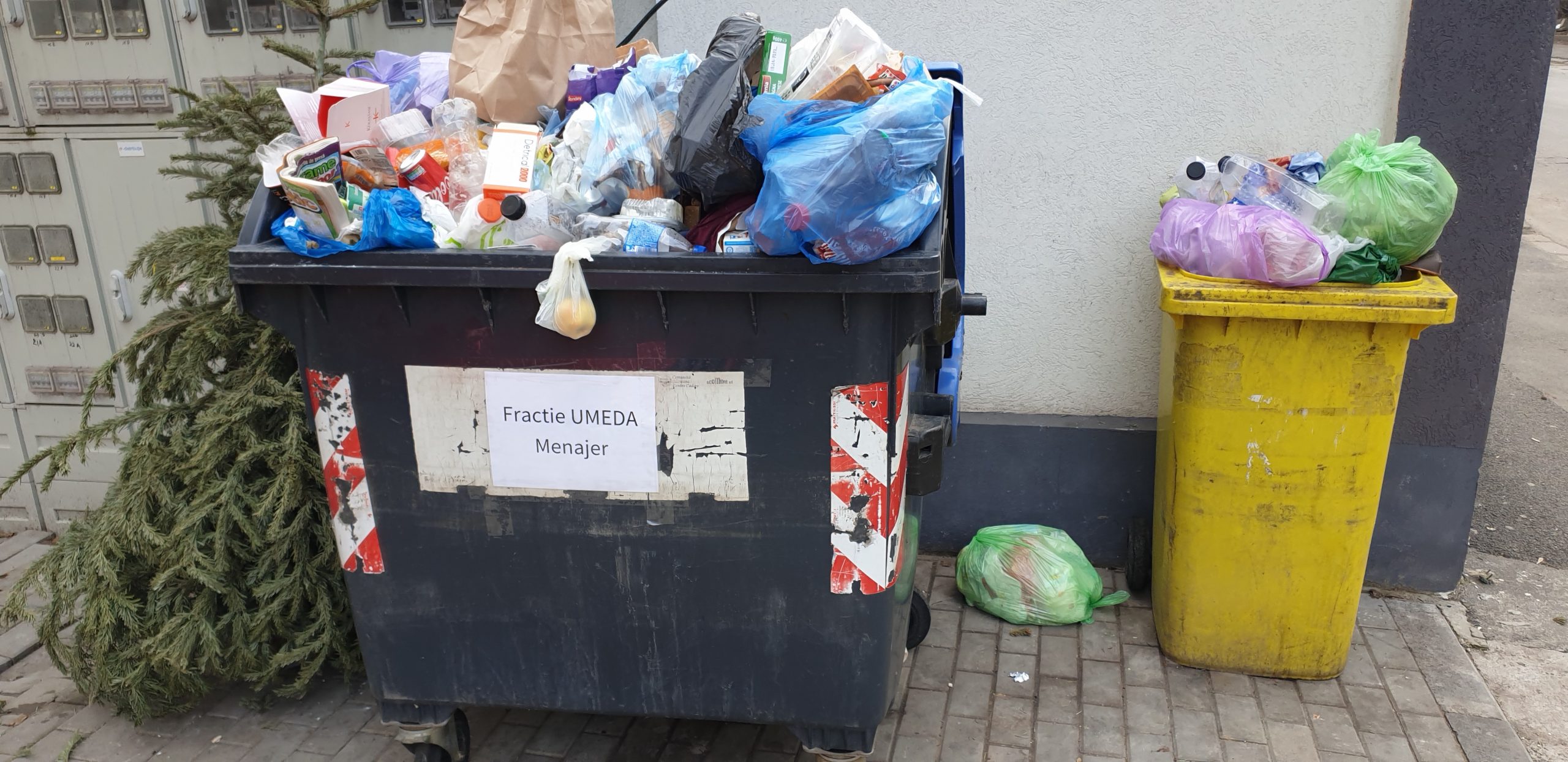 Galerie foto - Poza #1