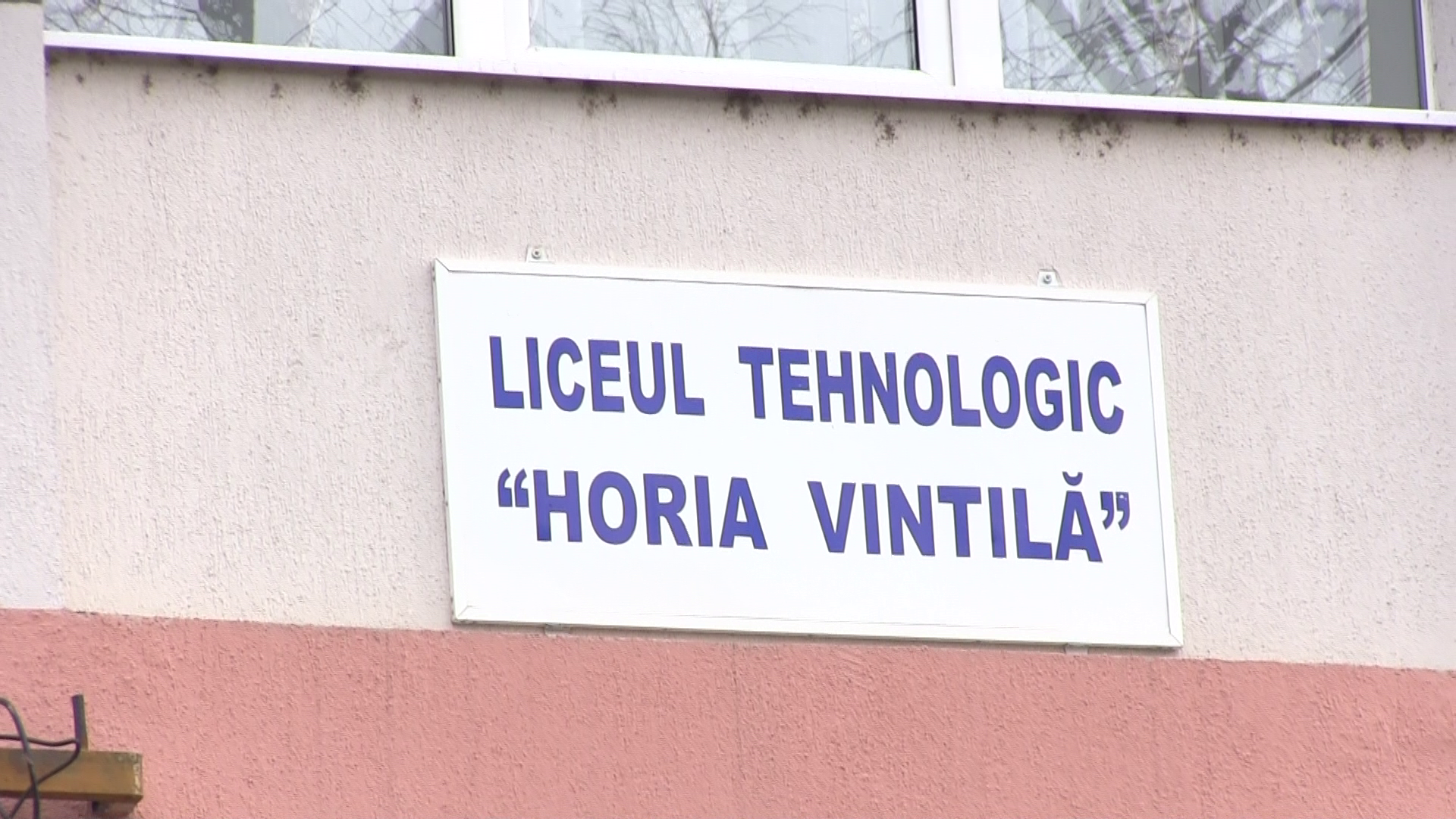 Galerie foto - Poza #2