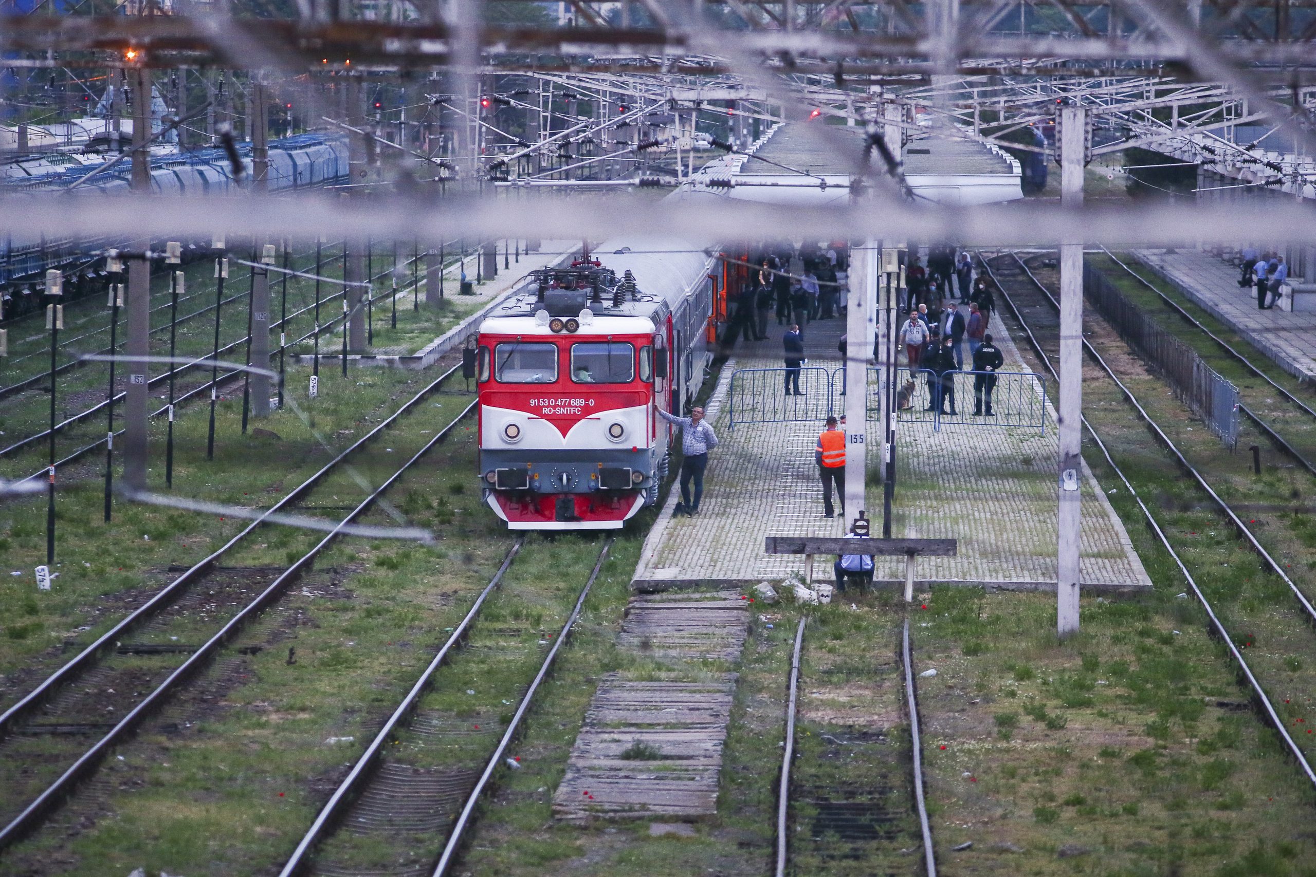 Galerie foto - Poza #1