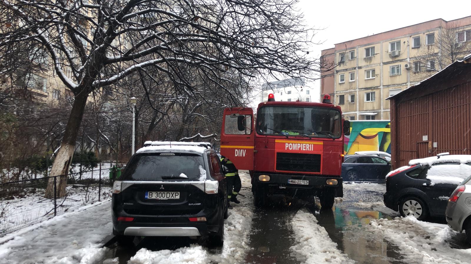 Galerie foto - Poza #2