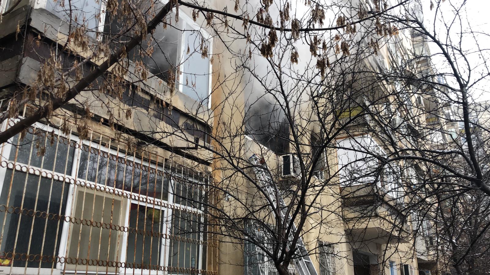 Galerie foto - Poza #3