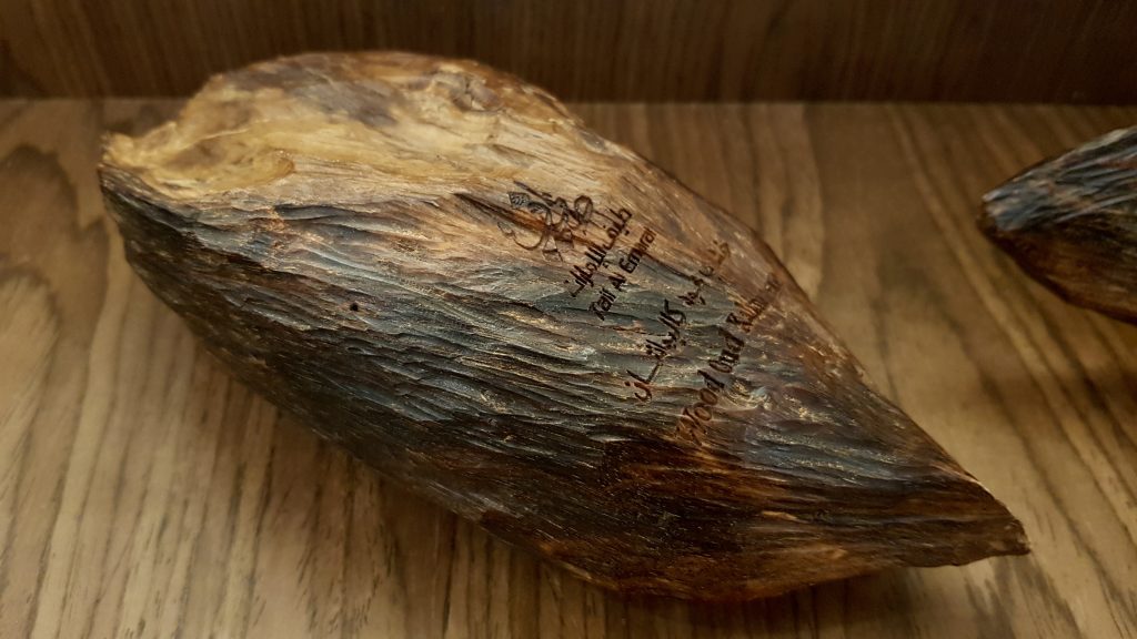 ”Lemnul zeilor”, comoara care costă 80.000 de euro kilogramul. Unde poate fi găsit