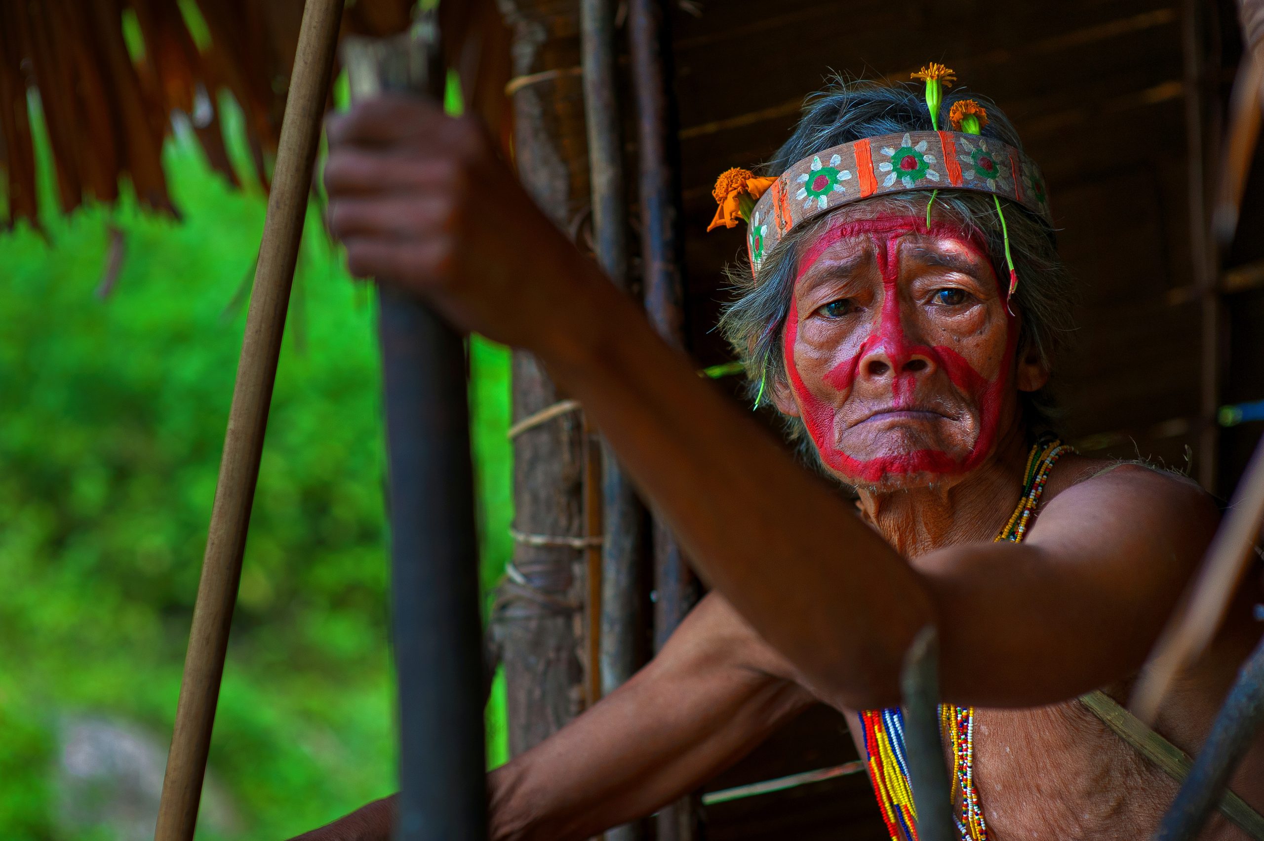 Indigenii amazonieni au descoperit un remediu natural pentru Covid