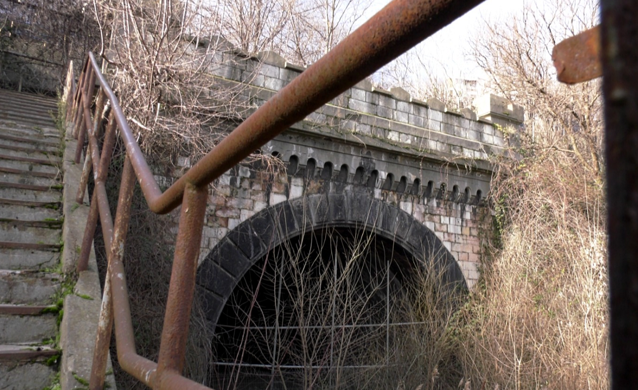 Galerie foto - Poza #1