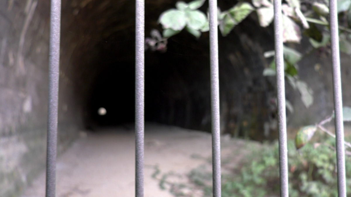 Galerie foto - Poza #3