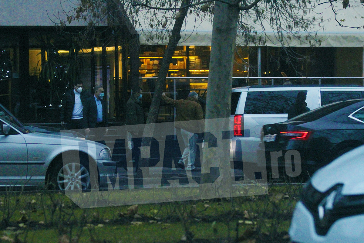 Galerie foto - Poza #2