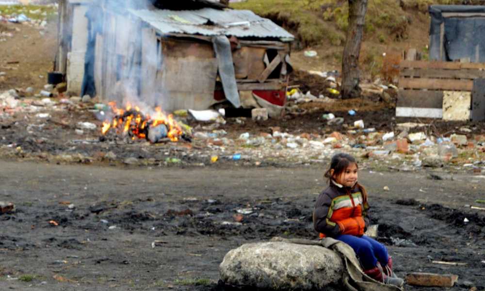 Galerie foto - Poza #2