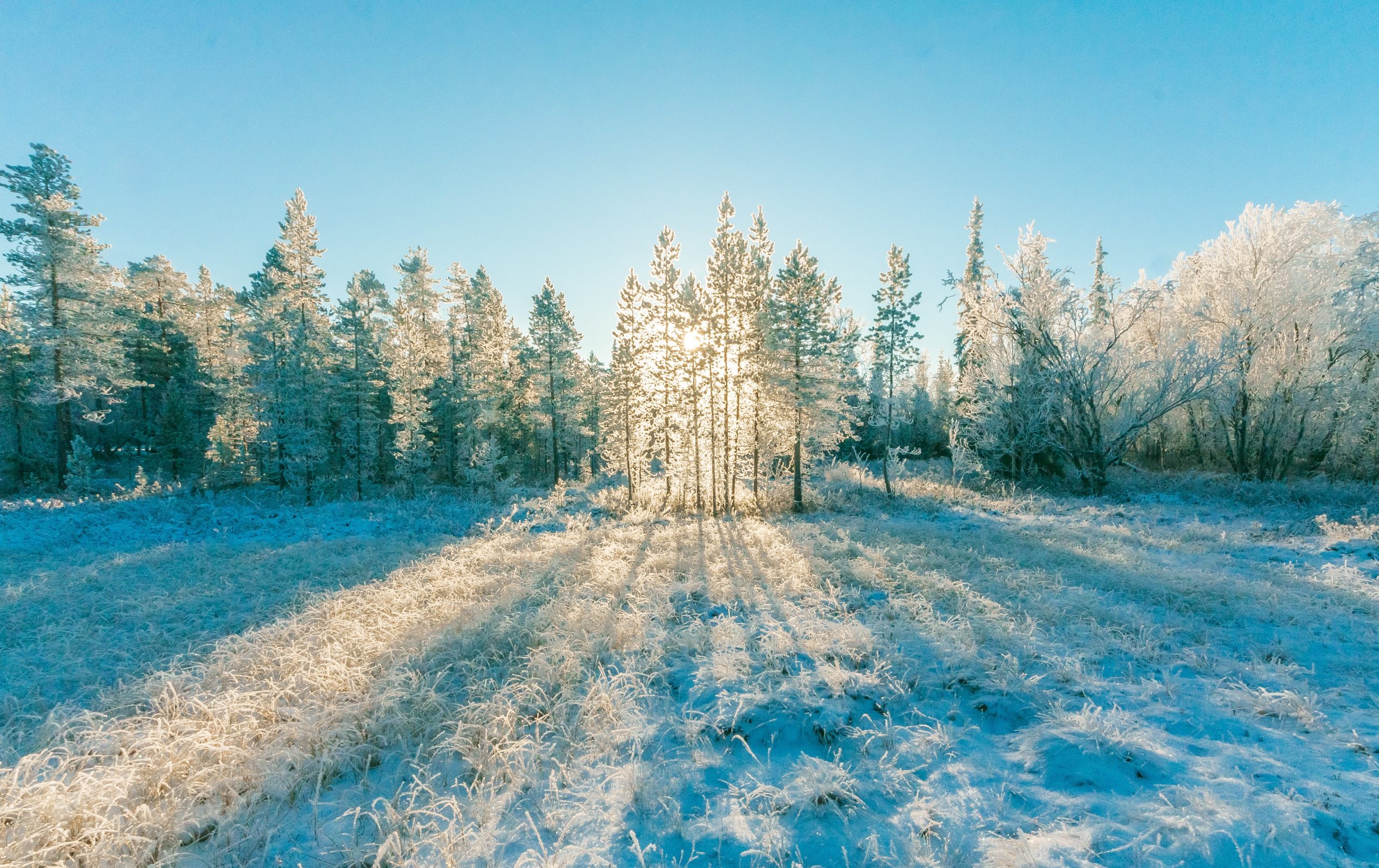 Starea vremii. Prognoza meteo pentru prima jumătate a lunii februarie
