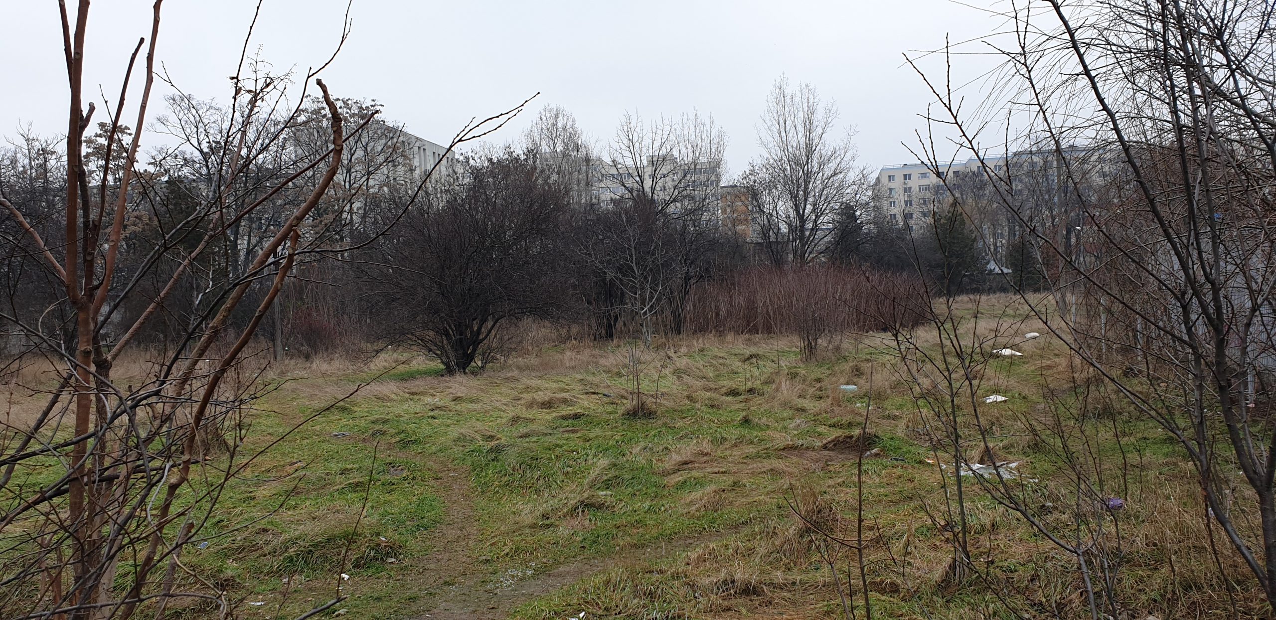 Galerie foto - Poza #2