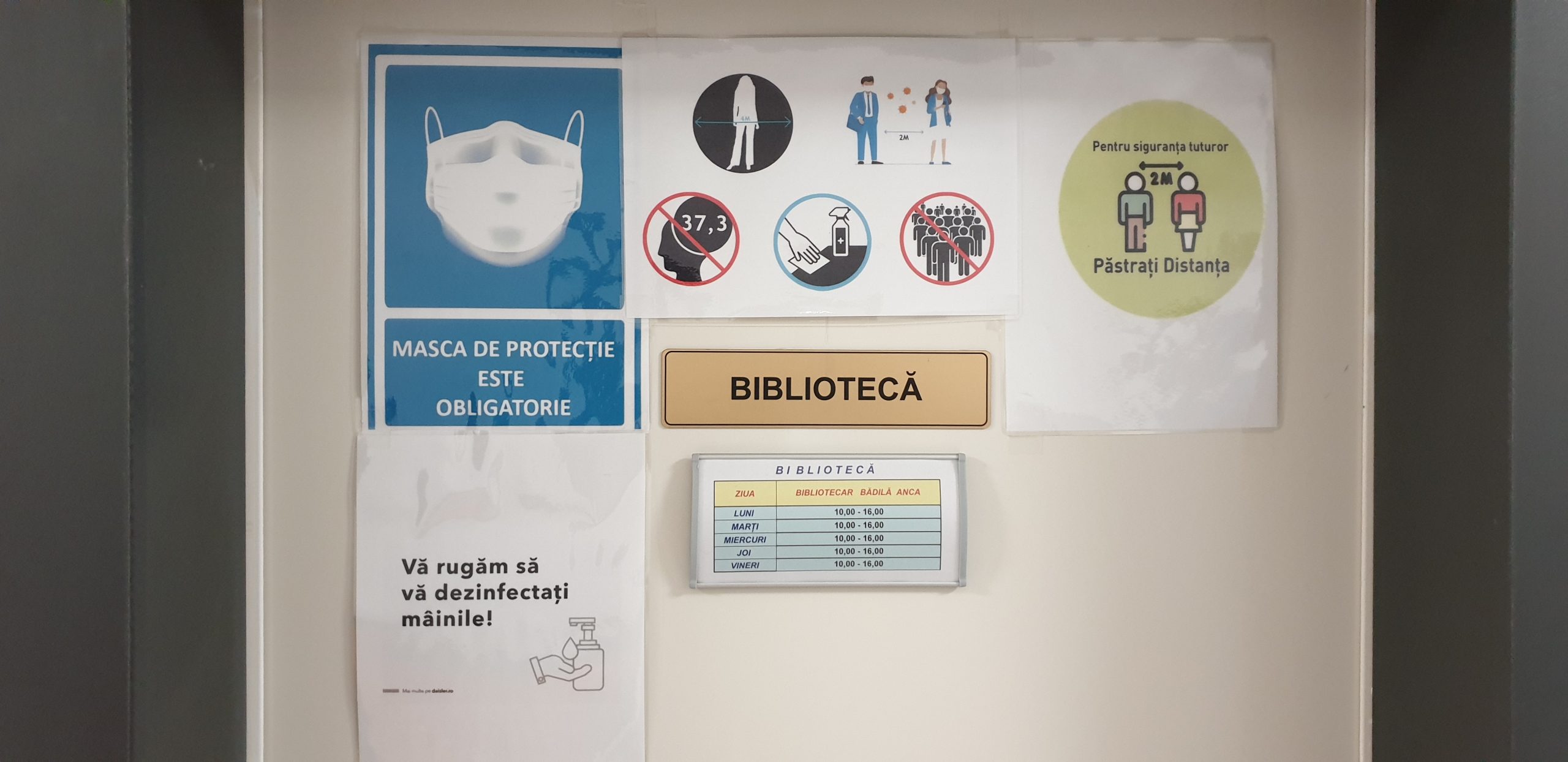 Galerie foto - Poza #3