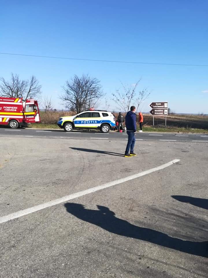 Galerie foto - Poza #3