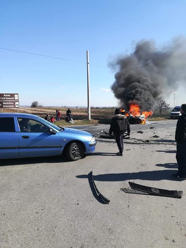 Galerie foto - Poza #2