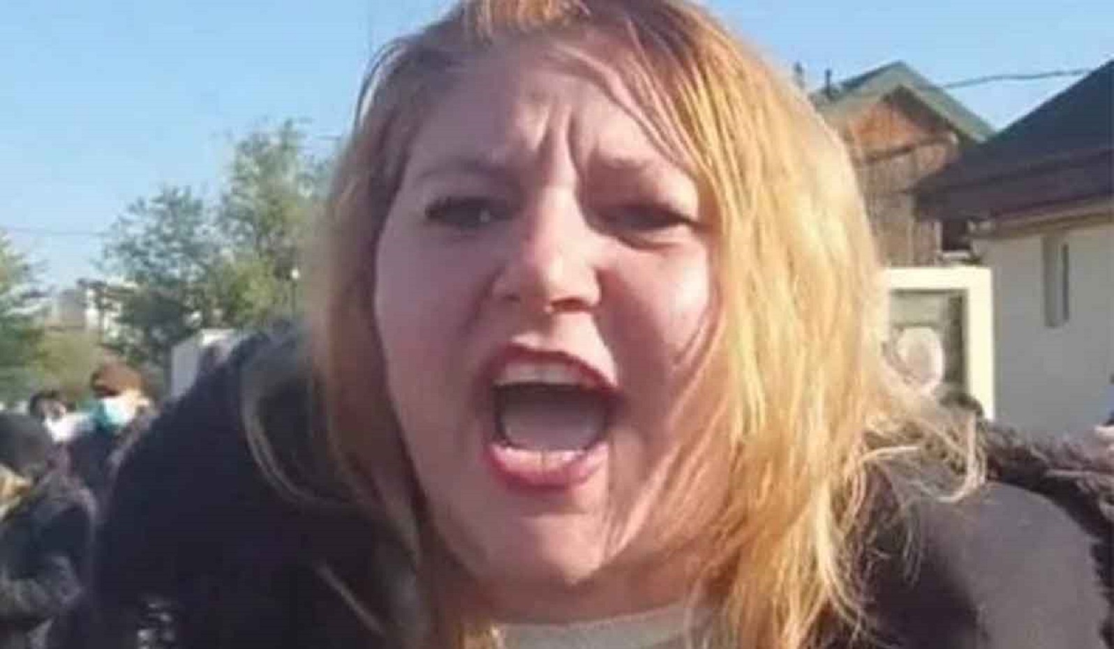Diana Sosoaca a fost exclusa din AUR