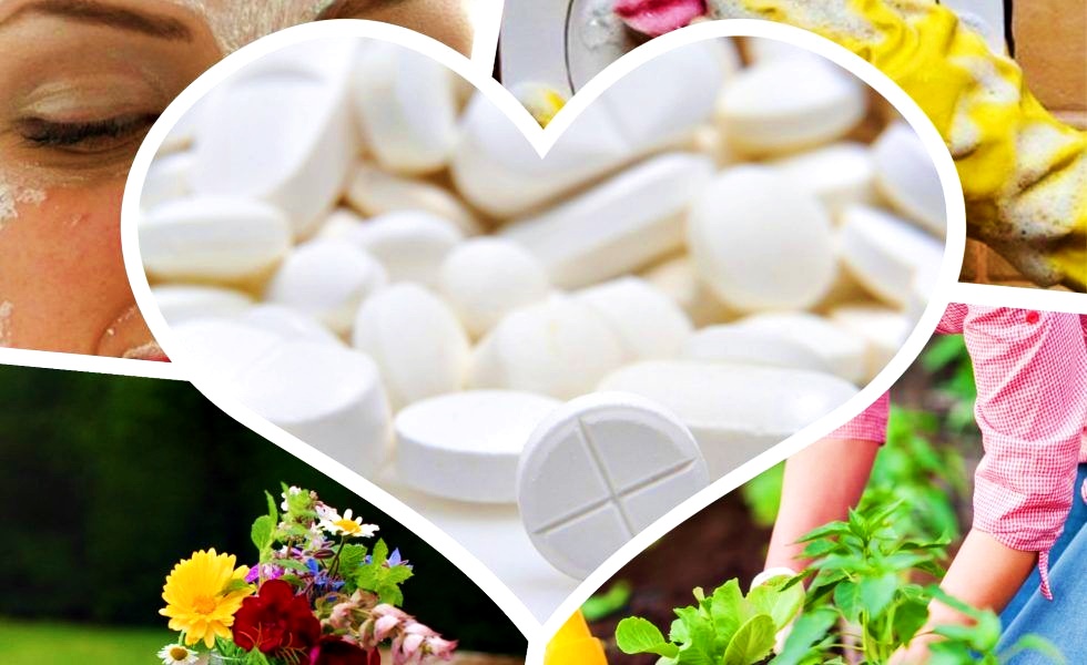 La ce poți folosi aspirina în casă și grădină. Întrebuințări puțin știute