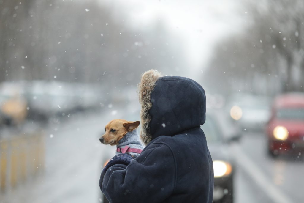 O nouă alertă meteo. E ger năprasnic în România. Ce se întâmplă cu vremea în zilele următoare
