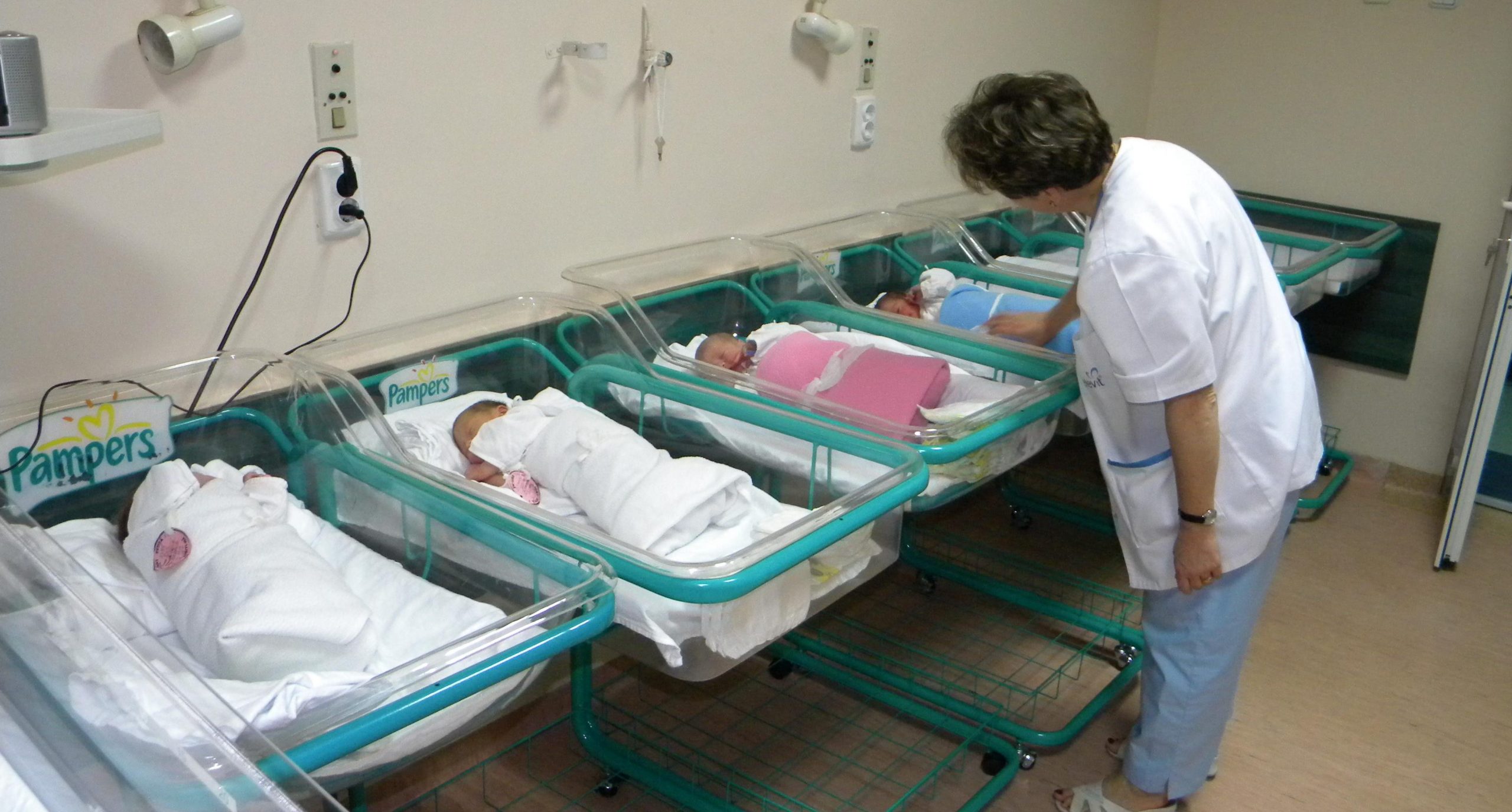 Galerie foto - Poza #1