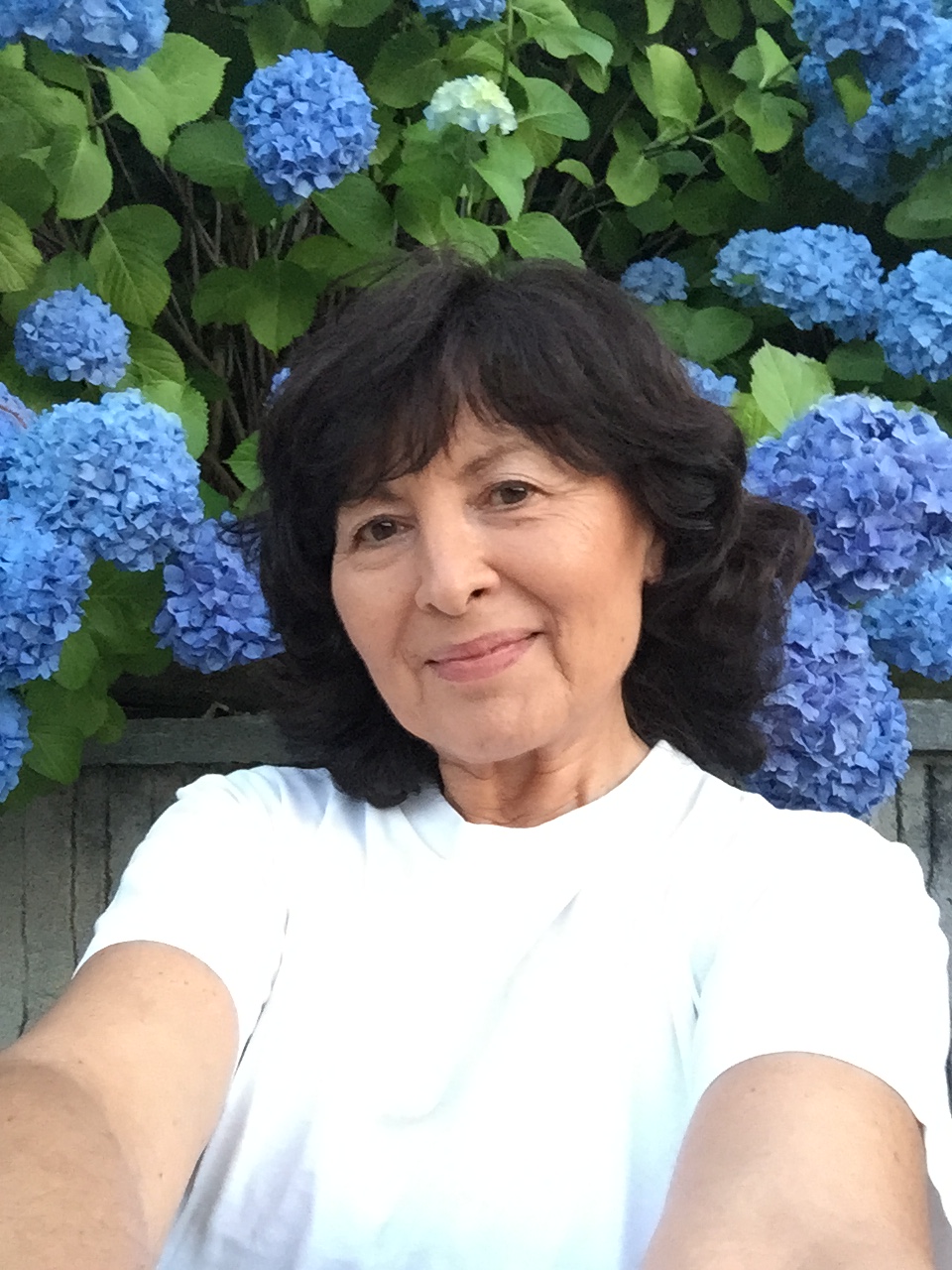 Galerie foto - Poza #3