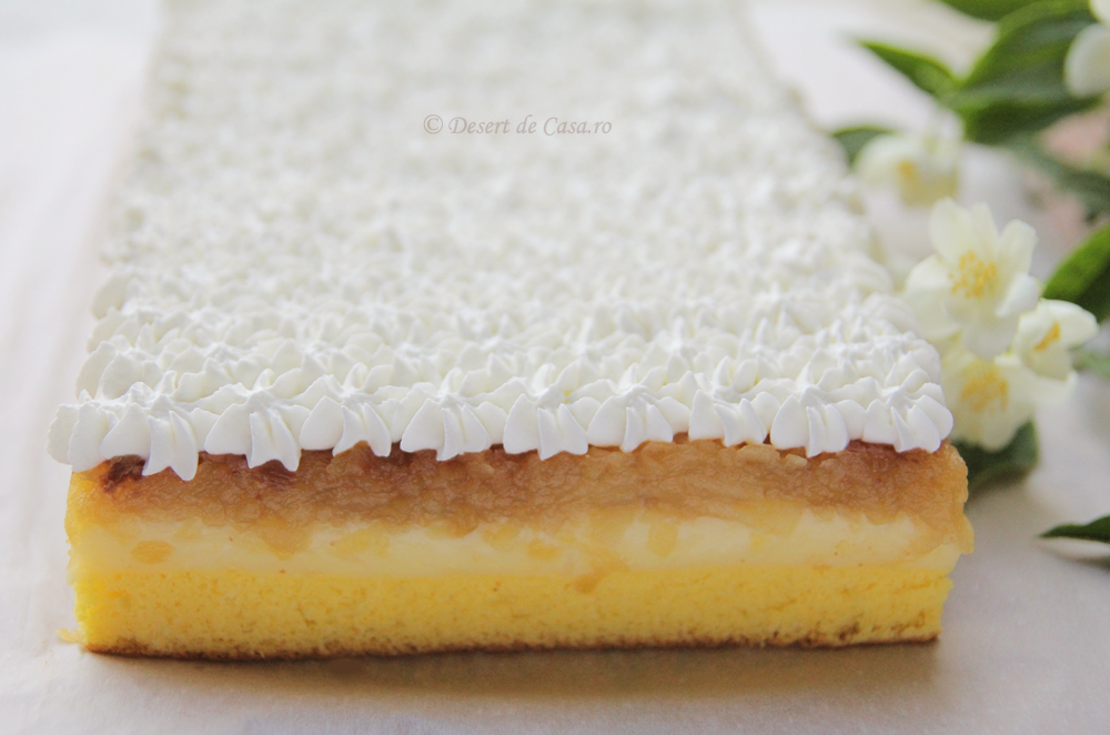 Galerie foto - Poza #1