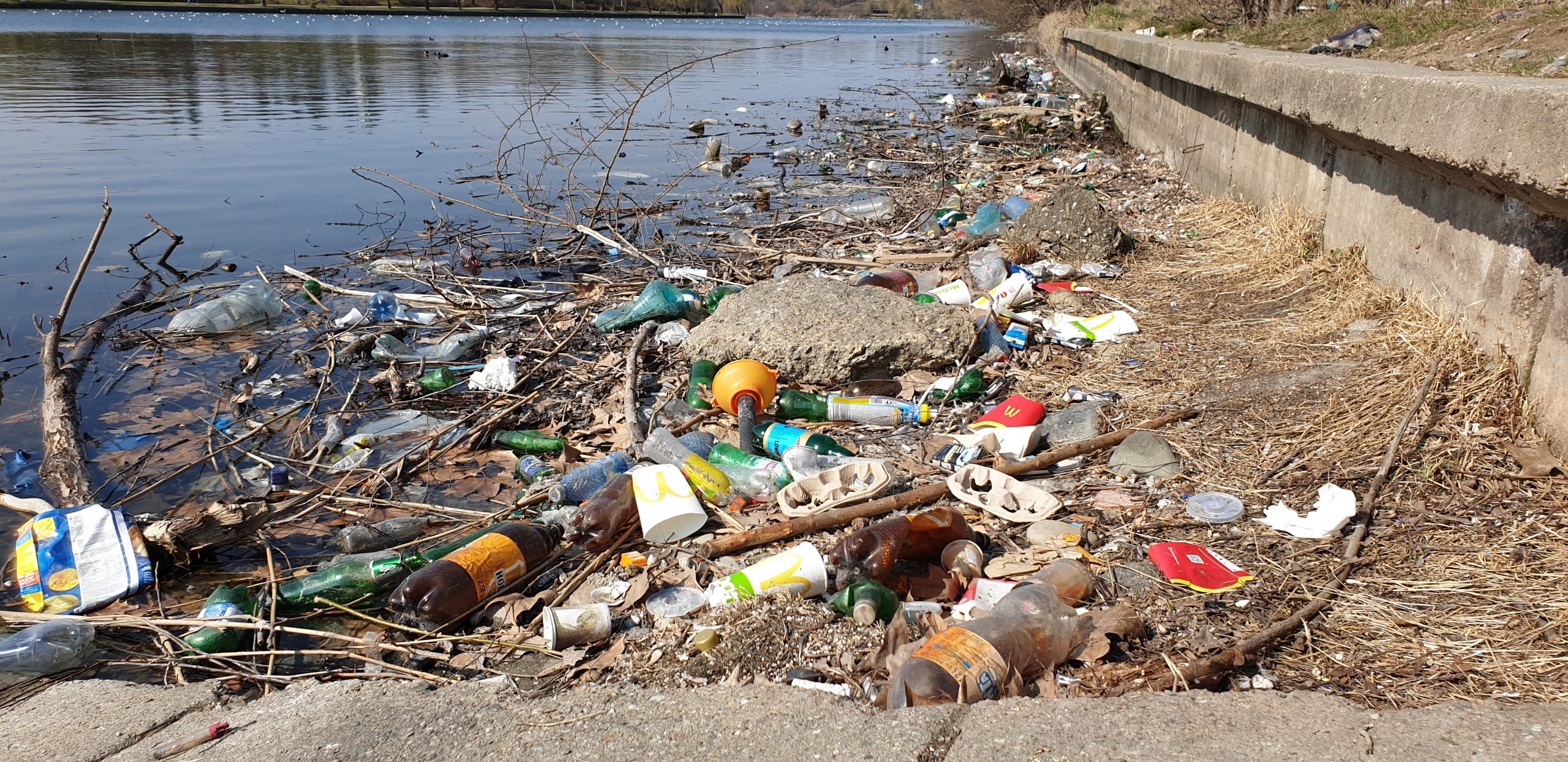 Gunoi pe lacul Plumbuita