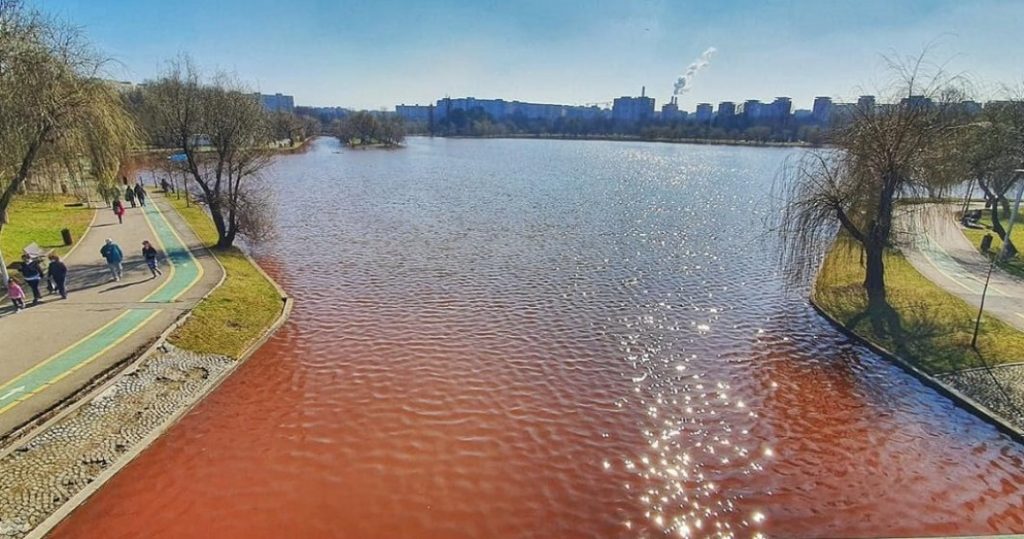Apa dintr-un parc al Bucureștiului s-a colorat în roșu de aproape o lună. “Nu am văzut-o niciodată așa”
