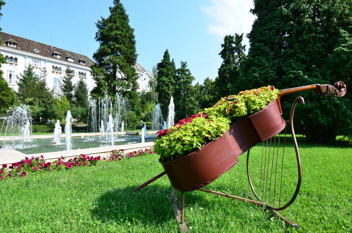 Galerie foto - Poza #1
