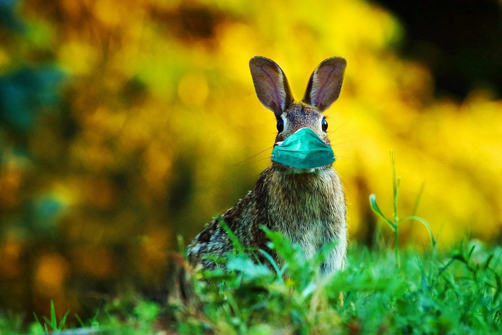 Cele mai frumoase mesaje de Paște. 35 de urări superbe de Învierea Domnului