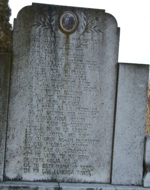 Cimitirul cu inscriptii in versuri din Timis