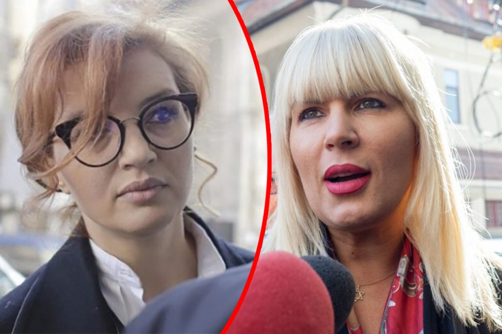 Elena Udrea și Ioana Băsescu, ”arse” și la bani. Sumele uriașe pe care trebuie să le plătească, pe lângă condamnare