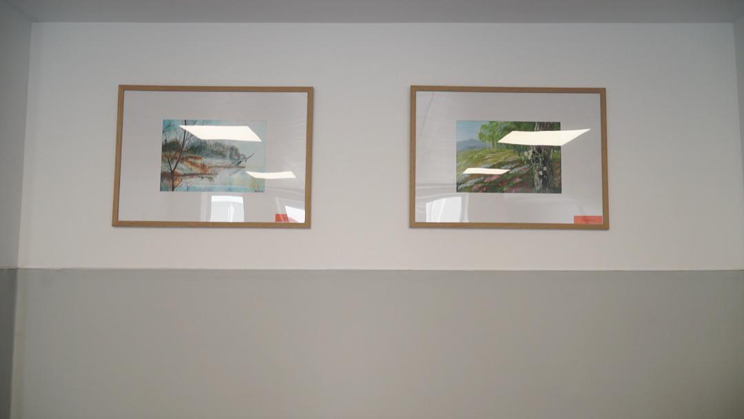 Galerie foto - Poza #2