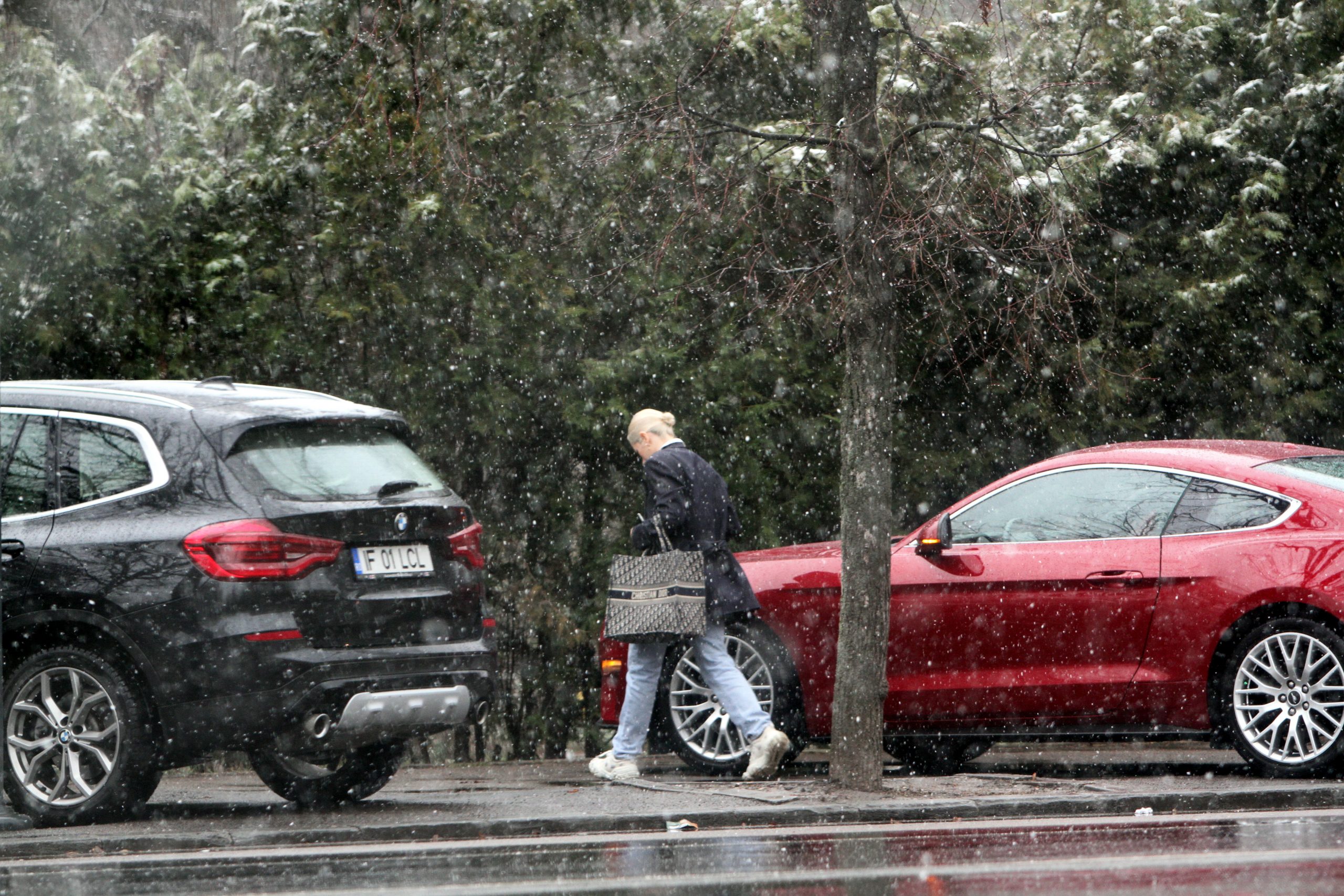 Galerie foto - Poza #1