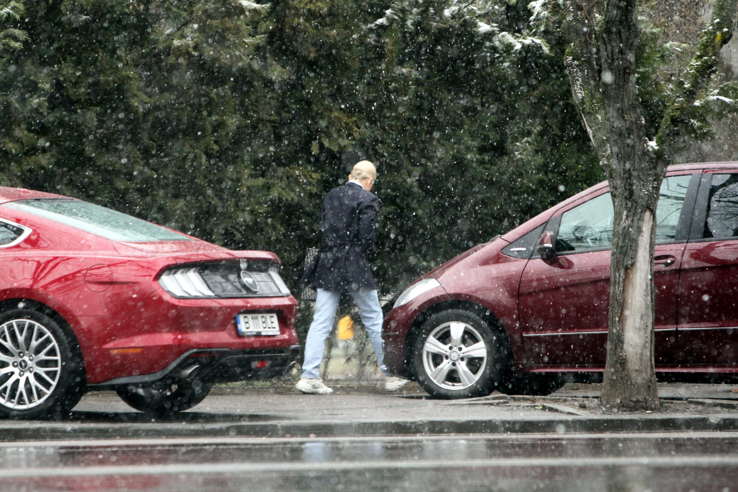 Galerie foto - Poza #2