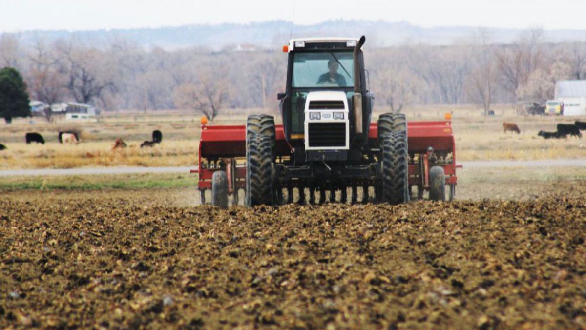 Subvenţii de până la 120.000 de euro pentru agricultorii români. Ce pot face cu această sumă