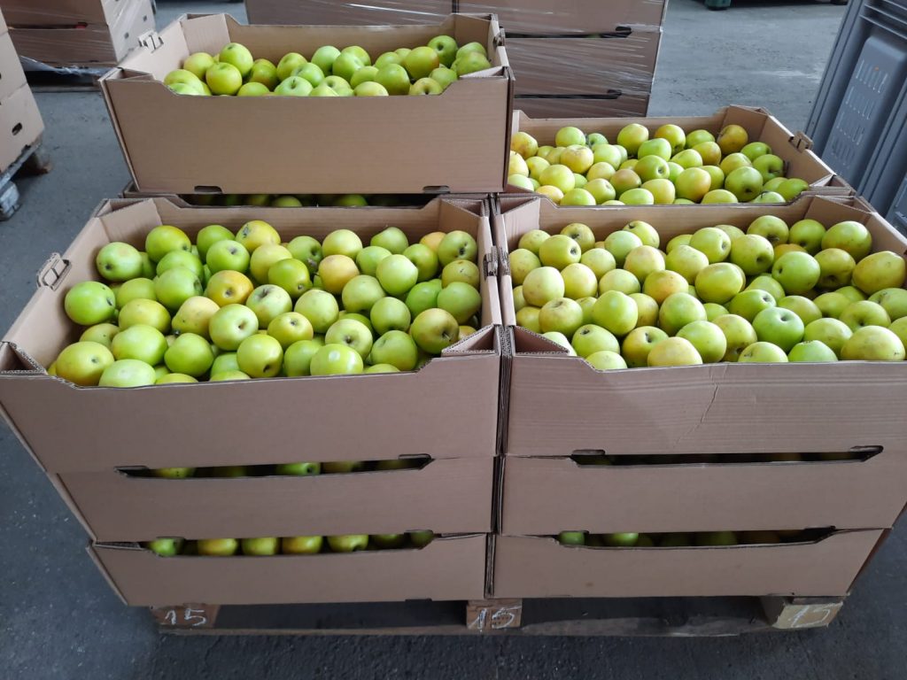 Pomicultorii din Argeș, puși la pământ. Prețurile scăzute țin fructele în depozite și riscă să se strice acolo