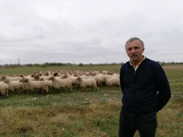 Povestea impresionantă a ciobanului timișorean care a ajuns celebru peste hotare: „Le-a plăcut olandezilor mai mult decât cașcavalul lor”
