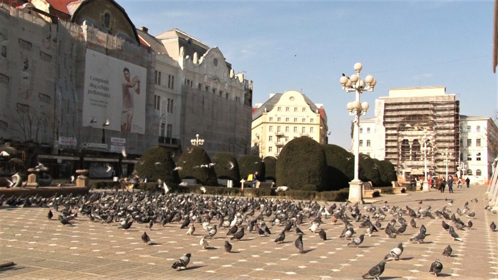 Cum a arătat Timișoara în prima zi de carantină. Cozi interminabile la intrarea în oraș: “Este o bătaie de joc”