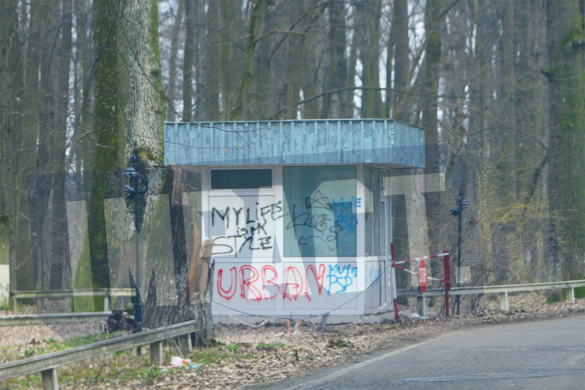 Galerie foto - Poza #3