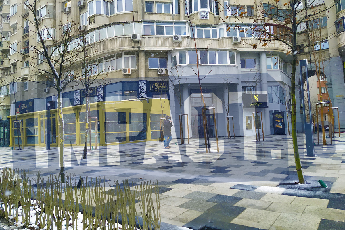 Galerie foto - Poza #1