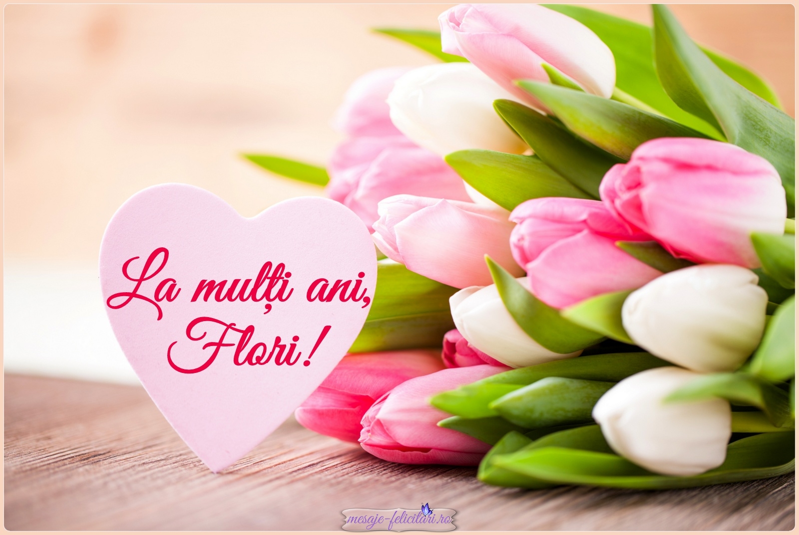 Galerie foto - Poza #1