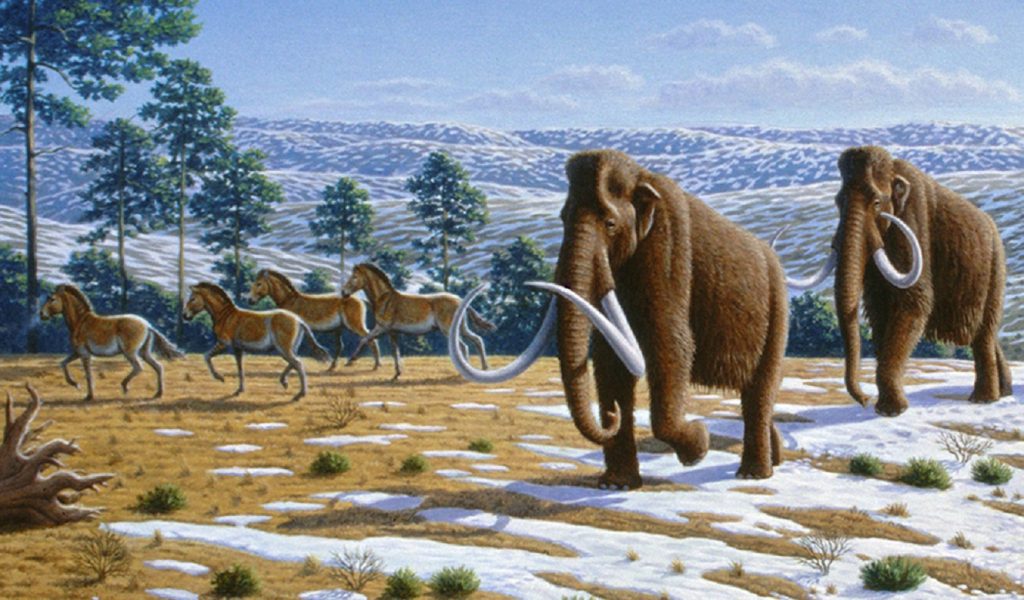 Animalul care a reușit să supraviețuiască erei glaciare. Aproape toate speciile au dispărut, el poate fi văzut și astăzi