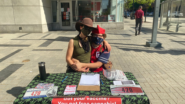 Campania a fost organizata si cu ocazia legalizarii marijuanei