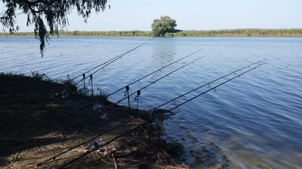 Ce se întâmplă cu capturile de pește din Delta Dunării. Cifrele sunt îngrijorătoare