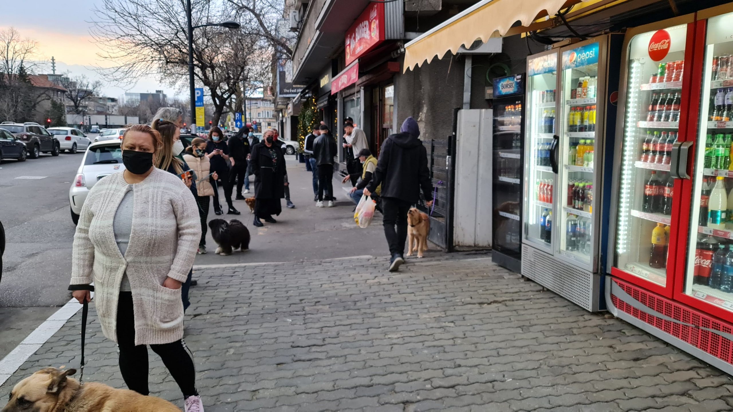 Galerie foto - Poza #3