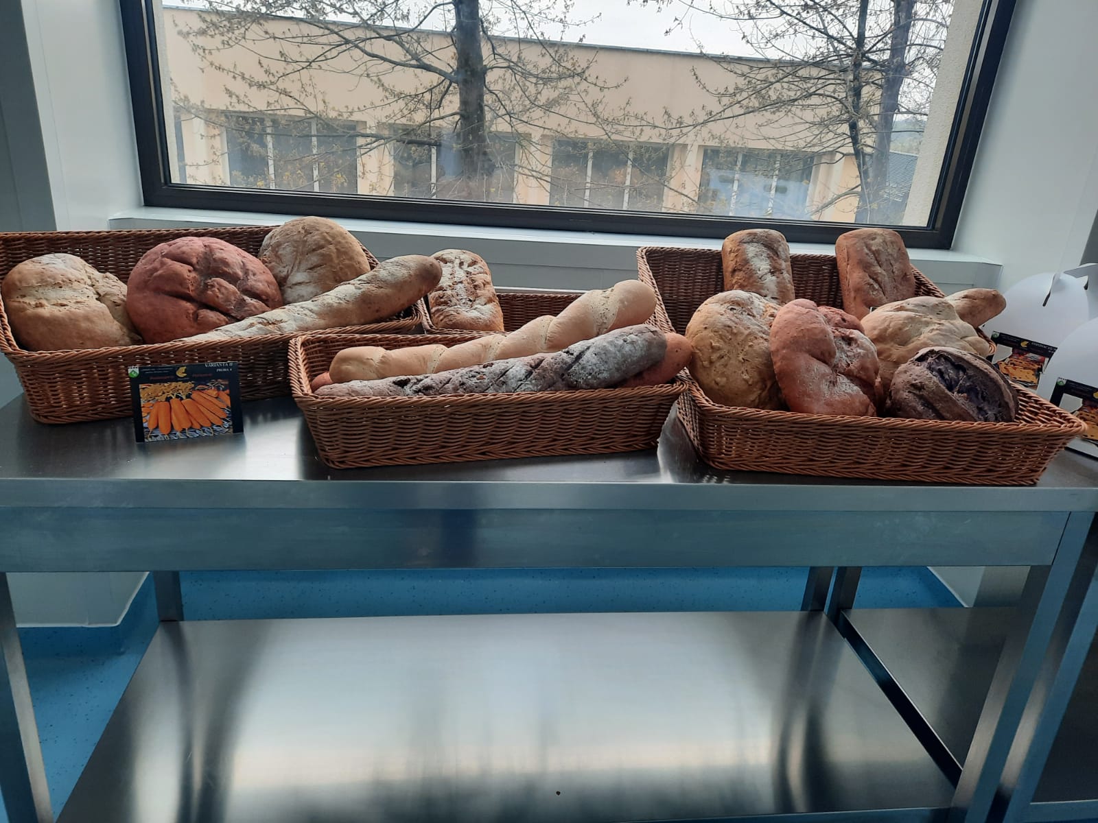 Cozonaci si pasca după o reteta traditionala din Iasi