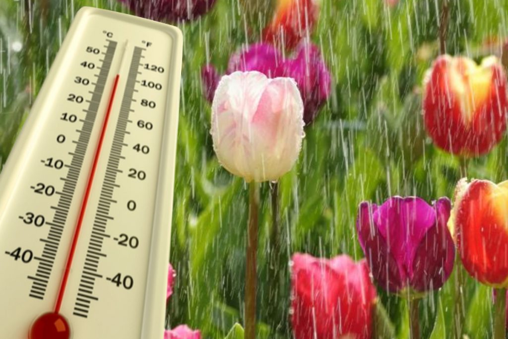 Gata cu primăvara. Vremea se schimbă din nou. Când se întorc ploile în România