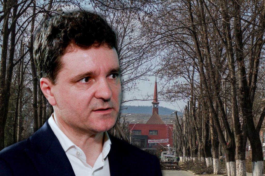 Nicușor Dan oprește toaletarea copacilor din București. ”Prea multe abuzuri”