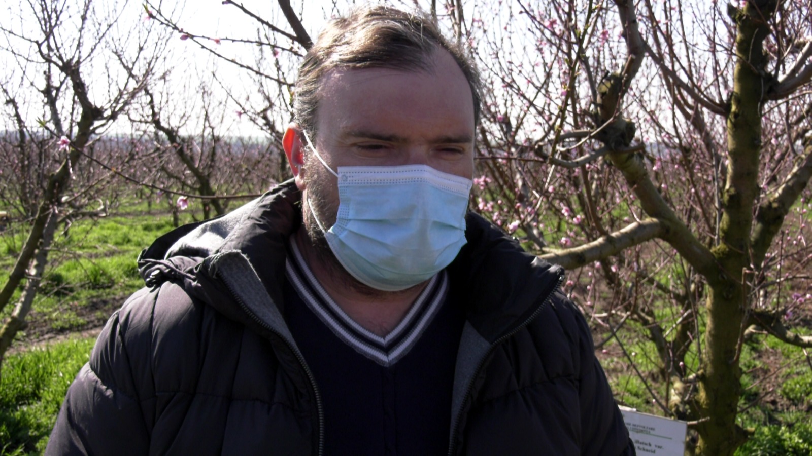 Galerie foto - Poza #2