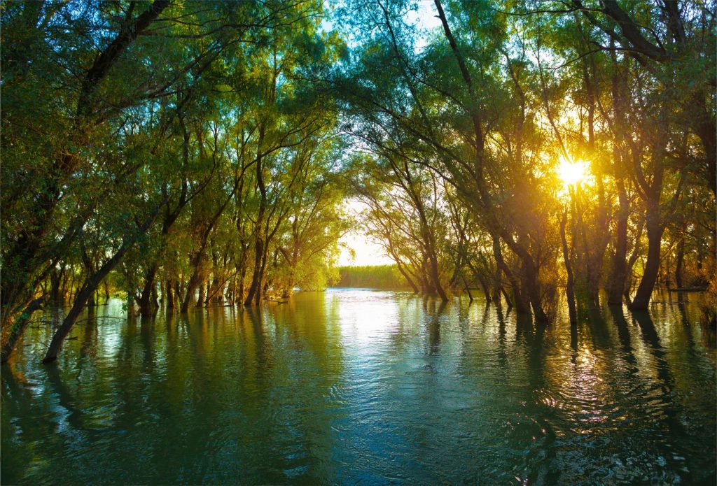 Prinţul Philip, uluit de frumusețea Deltei Dunării: „Nu mi-am putut imagina că există ceva atât de frumos“